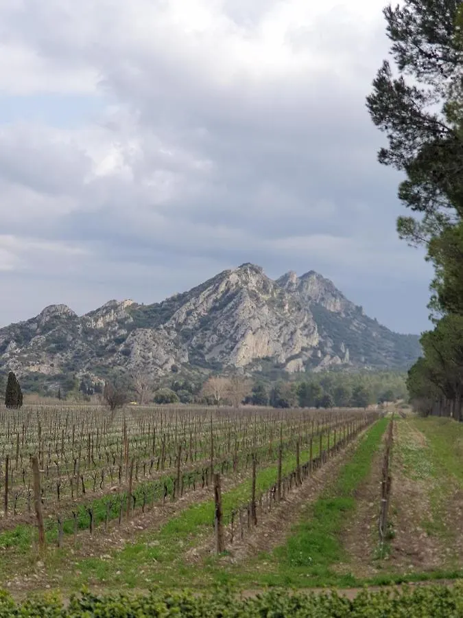 Saint-Rémy-de-Provence Les Estrelles 아파트